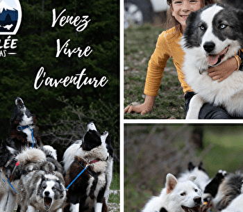 La vallée des laïkas - Kart, Cani-Trottinette et cani-rando - LA PESSE
