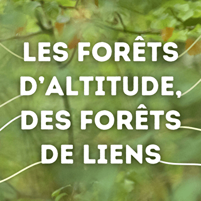 Exposition Itinérante 'Les forêts d'altitude, des forêts de liens'