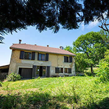 La Verdure - RAVILLOLES