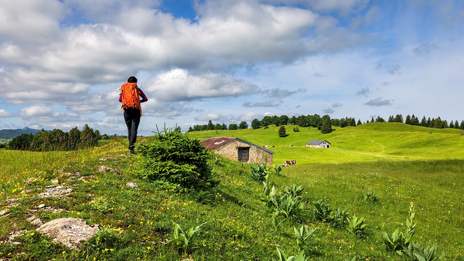 Echappée Jurassienne Pédestre - Étape 17 : Lajoux - St-Claude