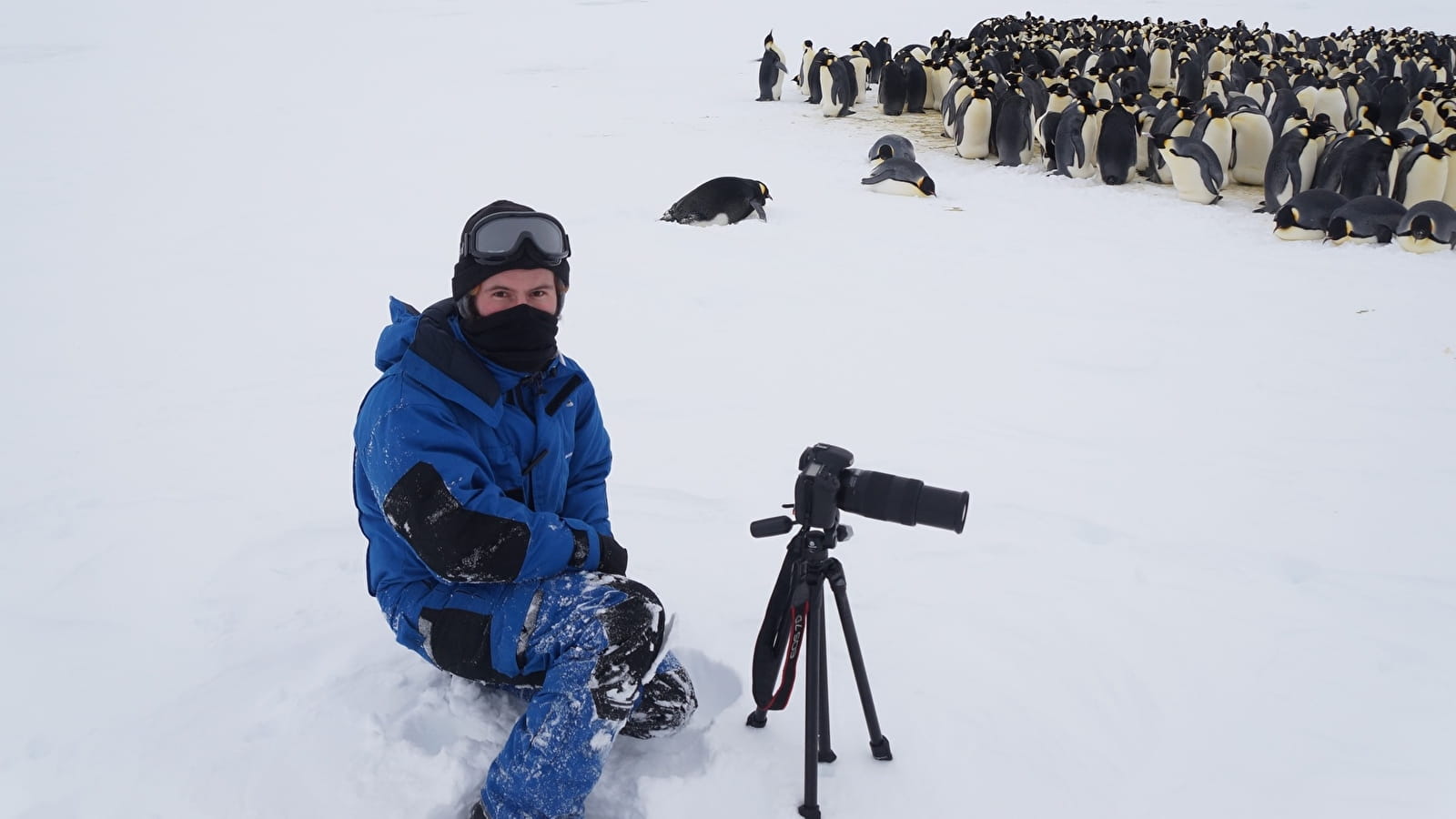 Conférence « 14 mois en Antarctique » de Alexis Carron, écologue naturaliste