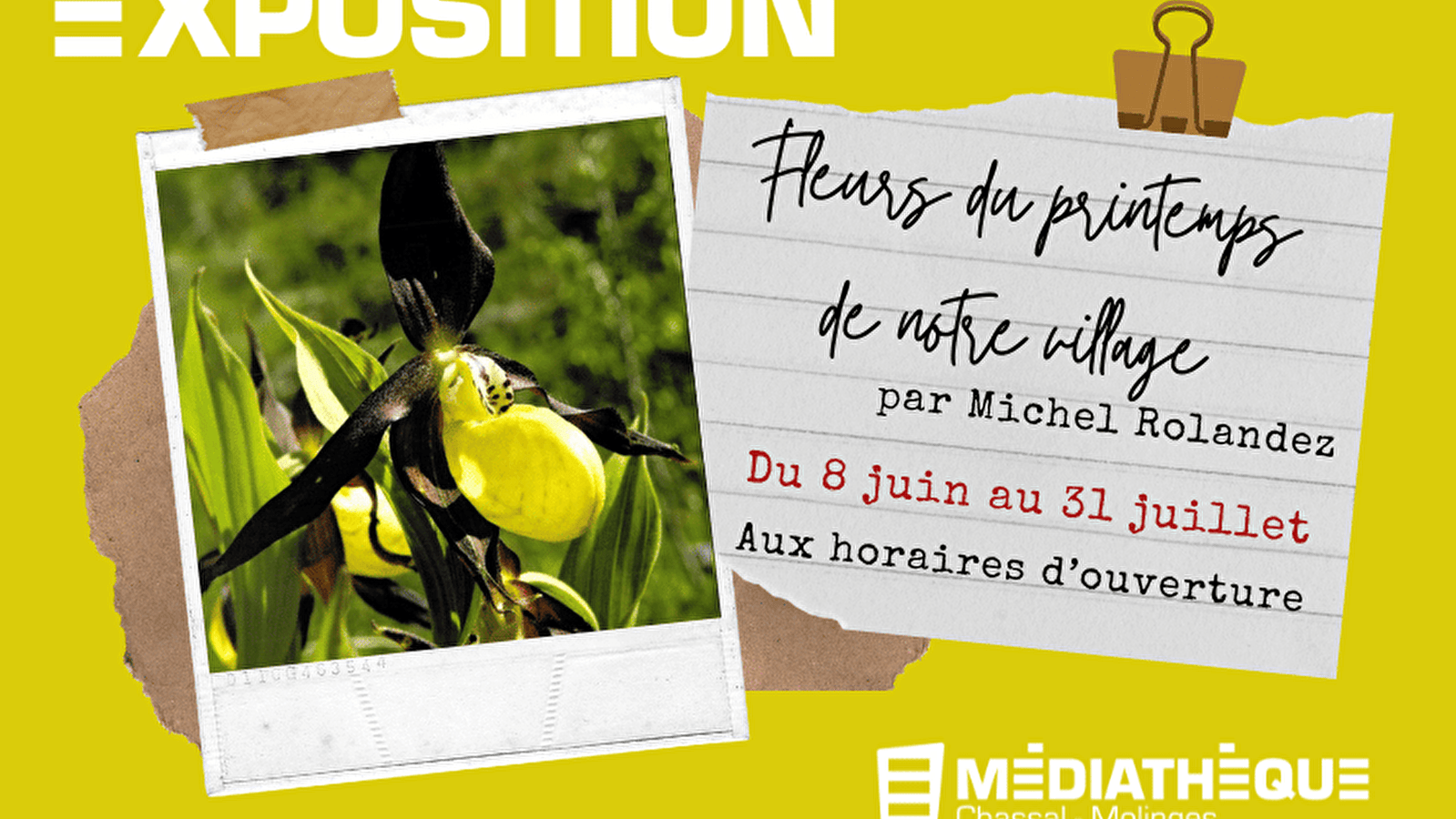 Médiathèque de Chassal-Molinges : Exposition