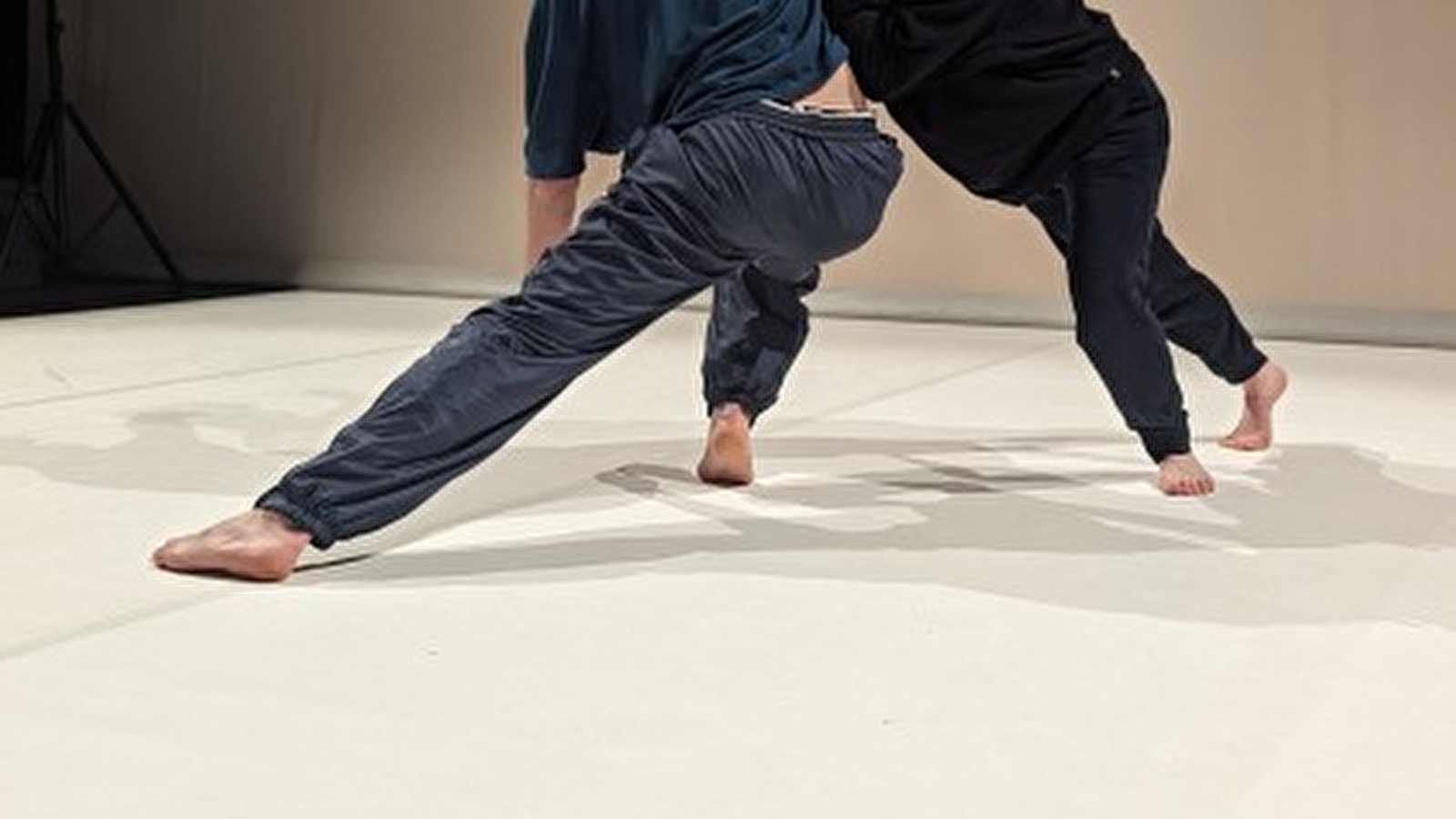 La fraternelle : danse > STRATES »Compagnie En Lacets