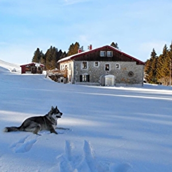 Pikina - SEPTMONCEL LES MOLUNES
