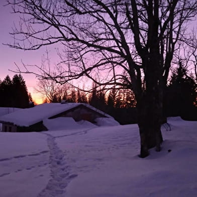 Gîte Les Roches d'Orvaz