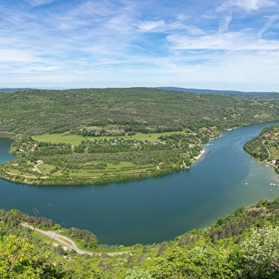 Tourisme et activités outdoor avec son chien