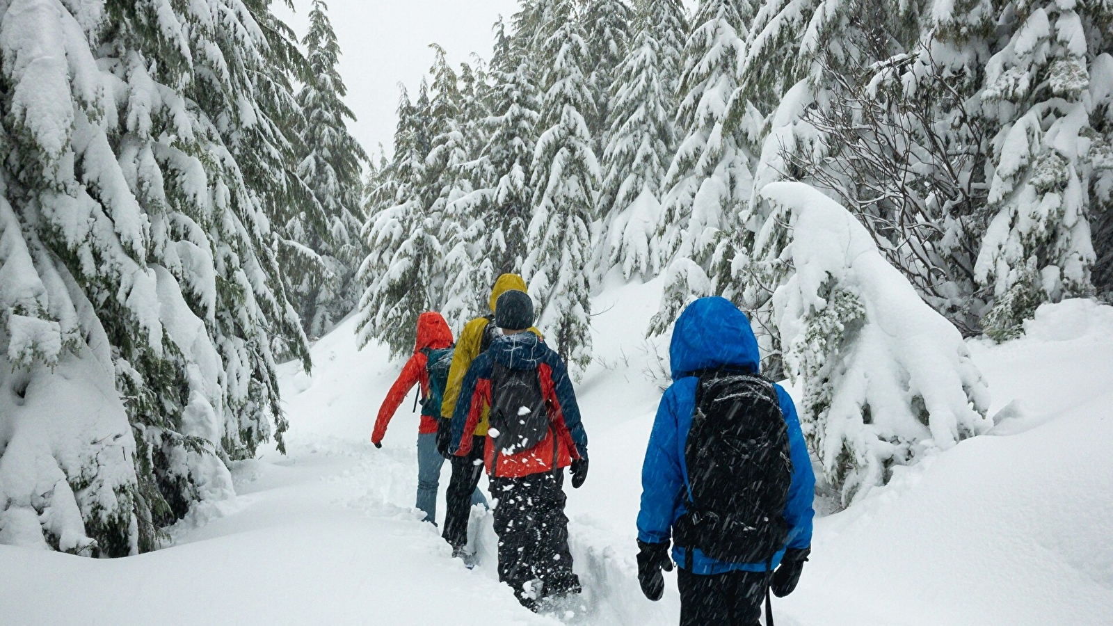 Ecole de ski du Haut-Jura - Lajoux : Nocturne raquettes