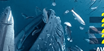 FINA - Festival Inter’Nature du Haut-Jura - SAINT-CLAUDE