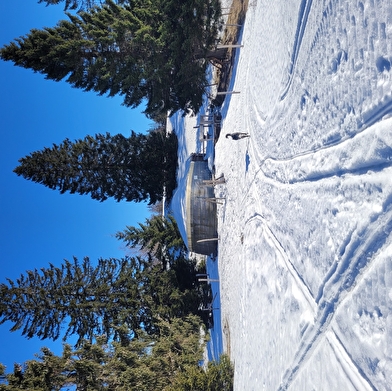 La Guienette - Yourtes