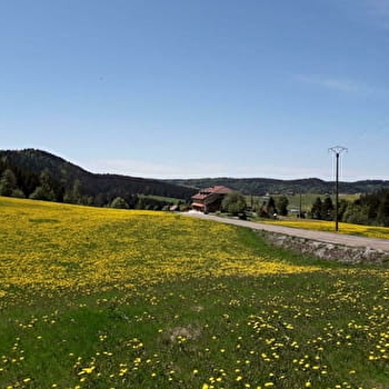 La Margueronne - SEPTMONCEL LES MOLUNES