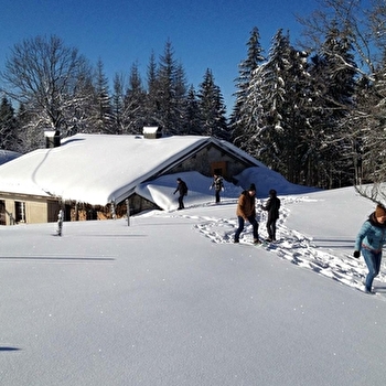 Gîte Les Roches d'Orvaz - BELLEYDOUX