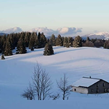 Alpage du Levant - SEPTMONCEL LES MOLUNES