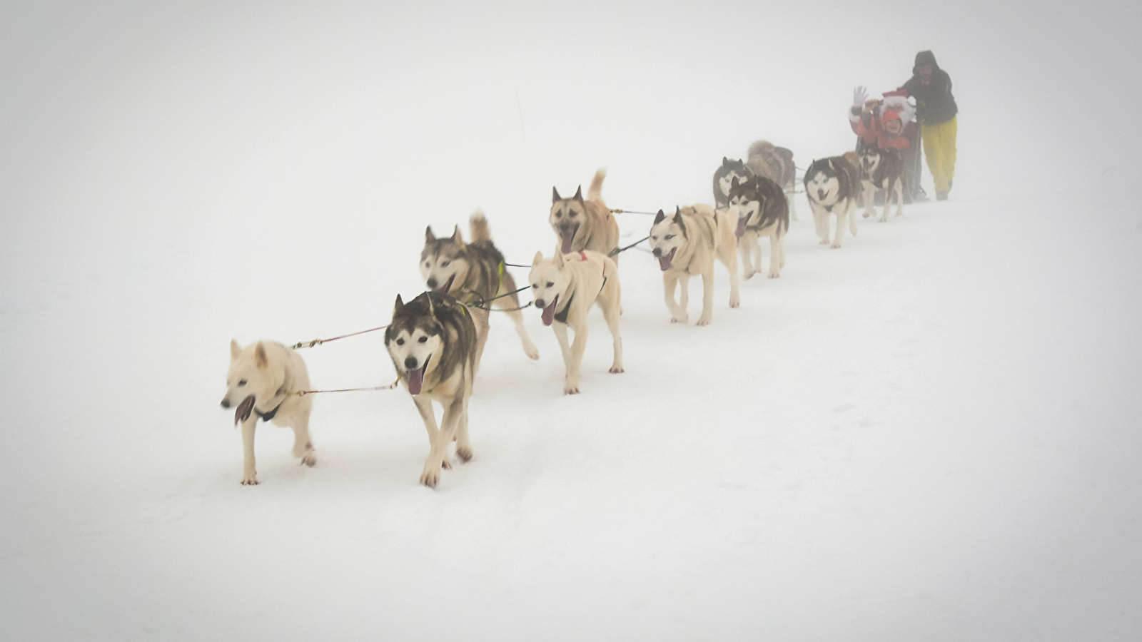 Circuit des Chiens de traîneaux