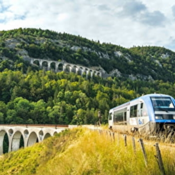 Excursion accompagnée groupes - Ligne des Hirondelles - 