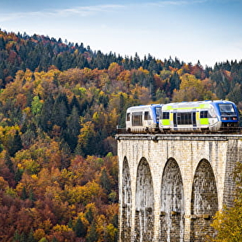 Ligne des hirondelles au départ de Saint-Claude à destination de Dole - SAINT-CLAUDE