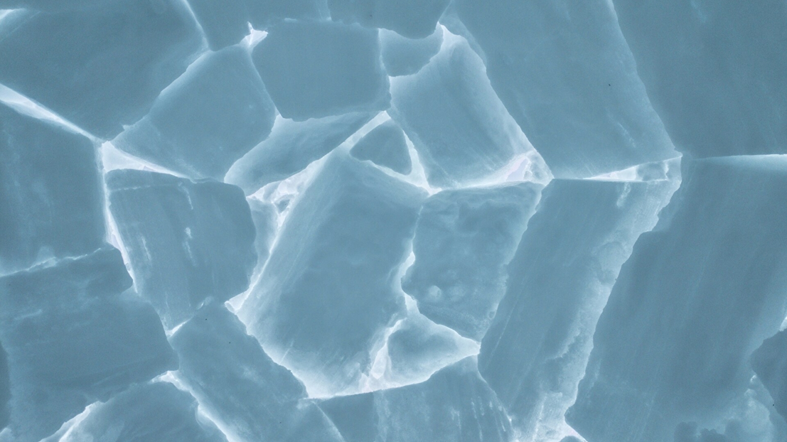 Ecole de ski du Haut-Jura - La Pesse : Randonnée Igloo / Chamallow