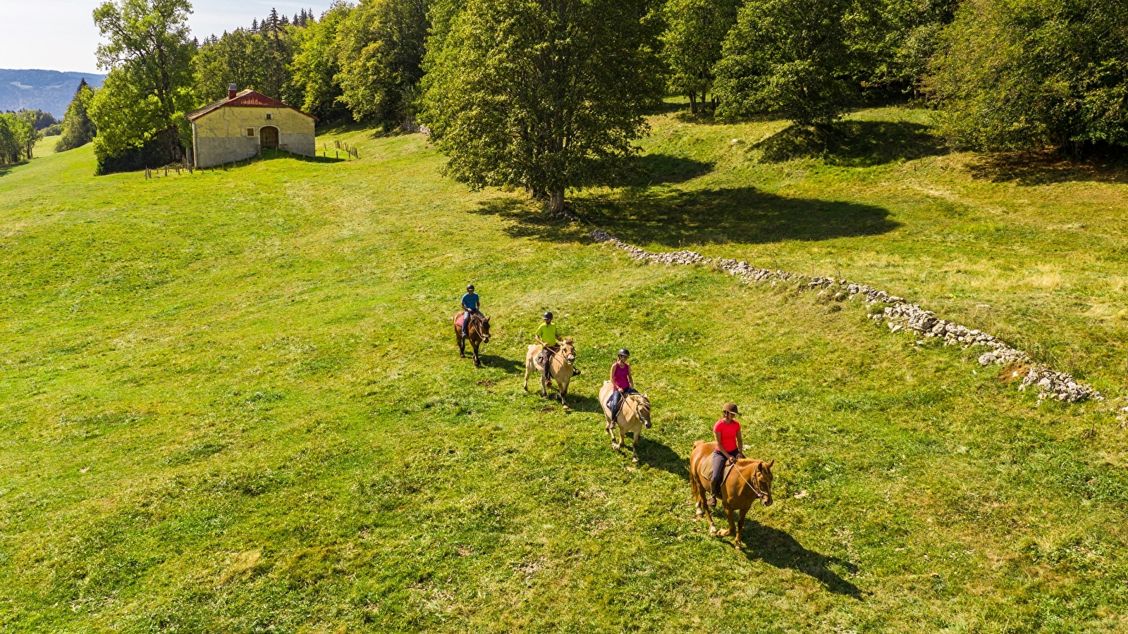 Randonnée à cheval sur la Grande Traversée du Jura - GTJ à cheval