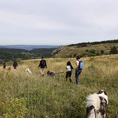 La vallée des laïkas -  kart, cani-trottinette et cani-rando