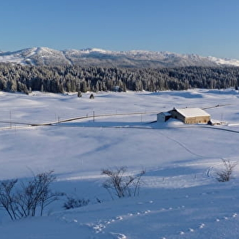 Gite Bussod - BELLECOMBE