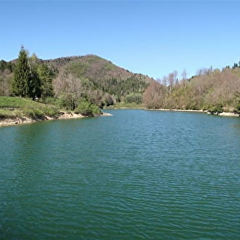 RAVILLOLES - RAVILLOLES