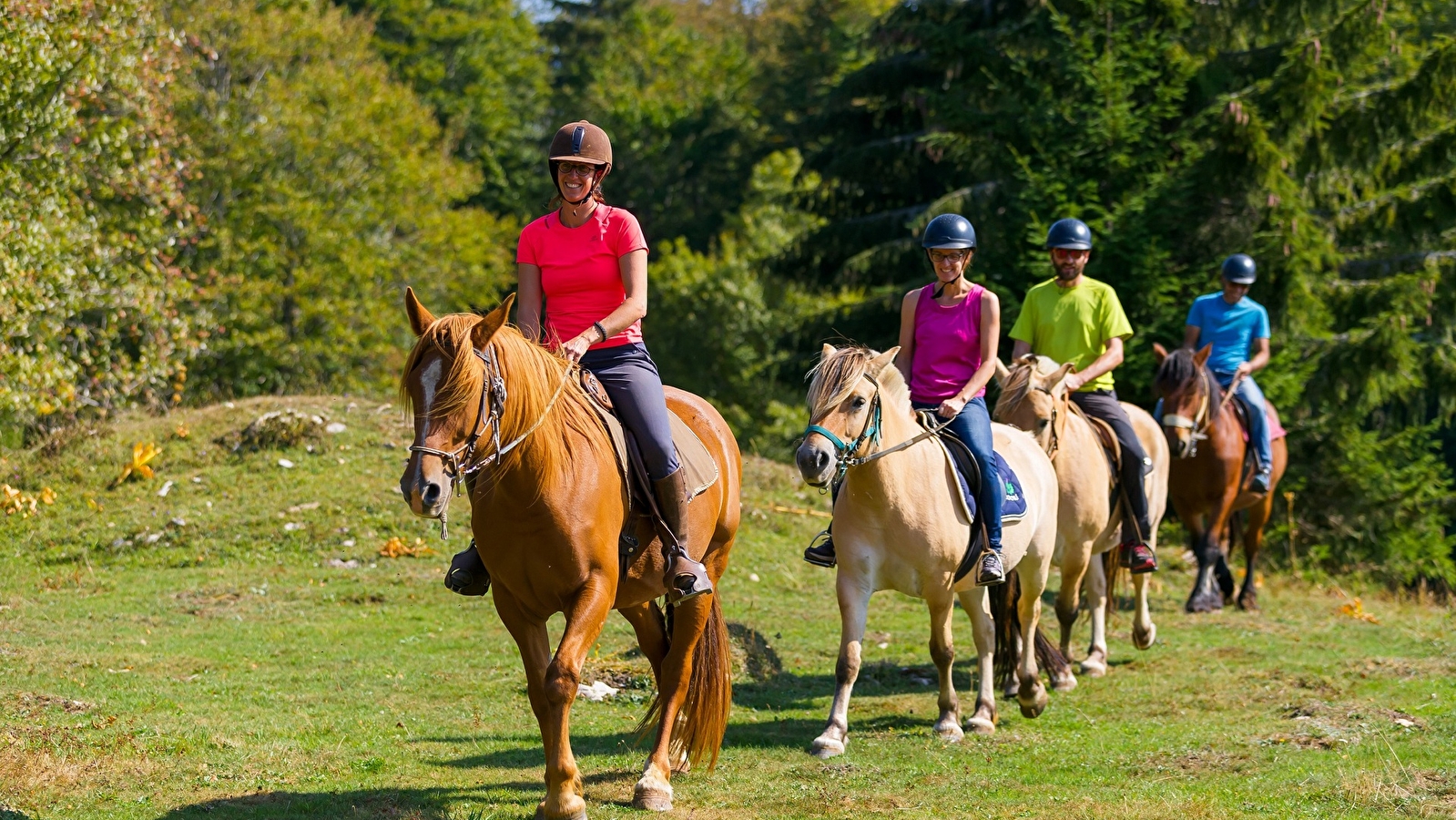 Gaïa Loisirs - Activités Équestres, Stages et cours de loisirs, Randonnées et balades