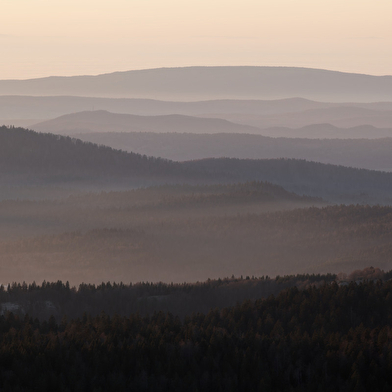 Jean-Baptiste Strobel - Guide naturaliste, accompagnateur en montagne