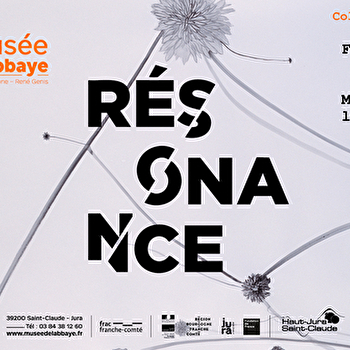 Musée de l'Abbaye - Visite guidée : ' Résonance ' - SAINT-CLAUDE