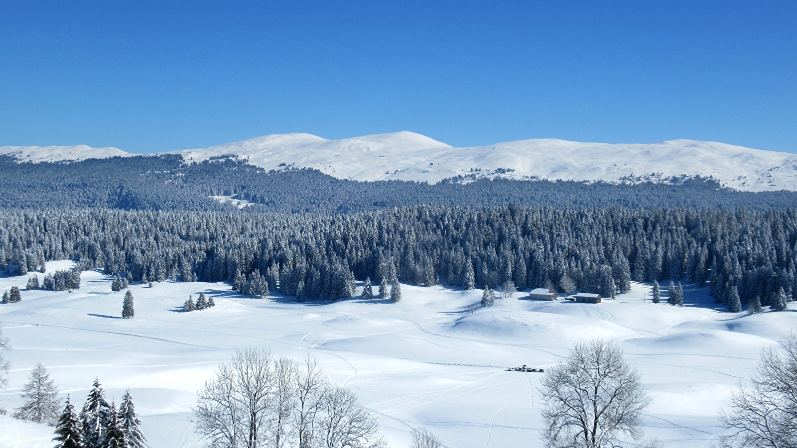 La découverte des Hautes-Combes du Jura en raquettes