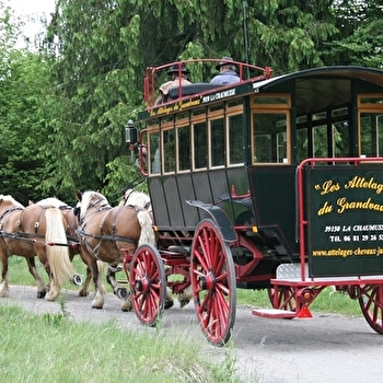 Les Attelages du Grandvaux - LA CHAUMUSSE