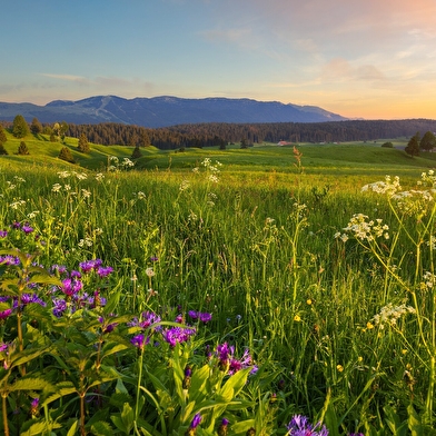 Boucle 7 : Lajoux-les Molunes