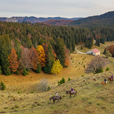 La Ferme du Berbois