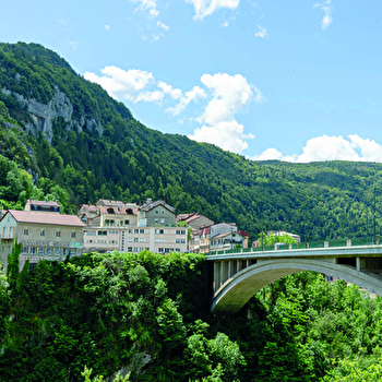 Musée de l'Abbaye - Visite : Atelier 'Paysage en métamorphose' - SAINT-CLAUDE