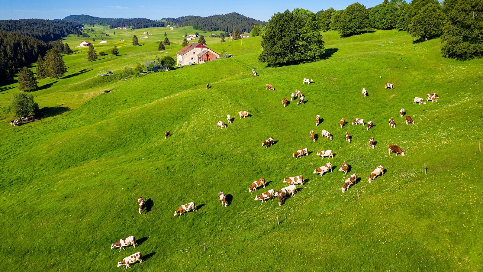 Les Hautes Combes - 1R