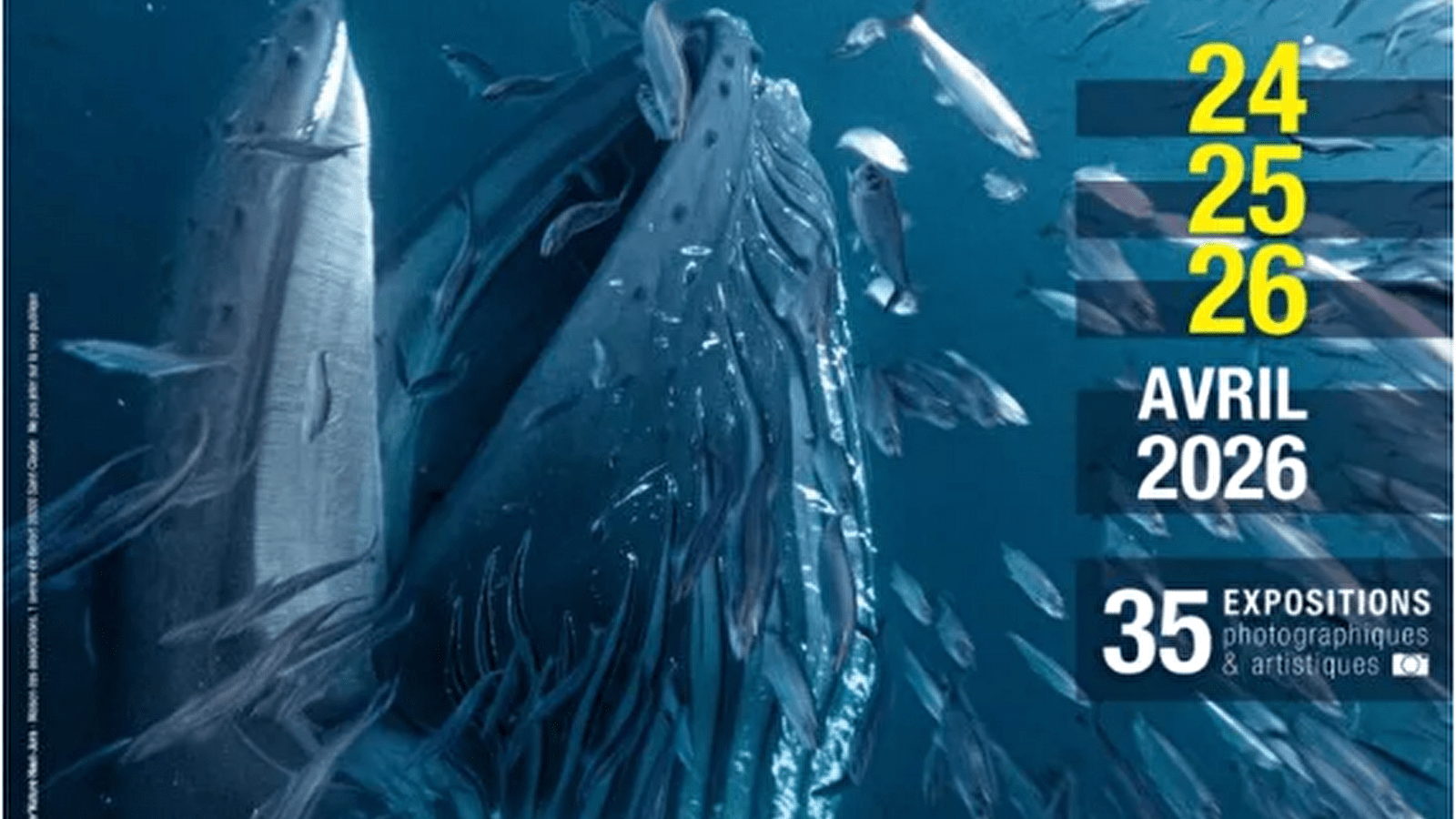 FINA - Festival Inter’Nature du Haut-Jura