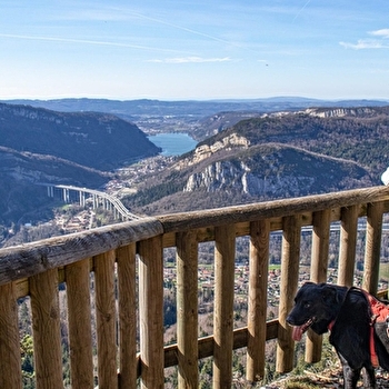 Tourisme et activités outdoor avec son chien - DORTAN