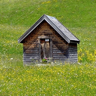 Au coeur du Parc naturel regional du Haut-Jura