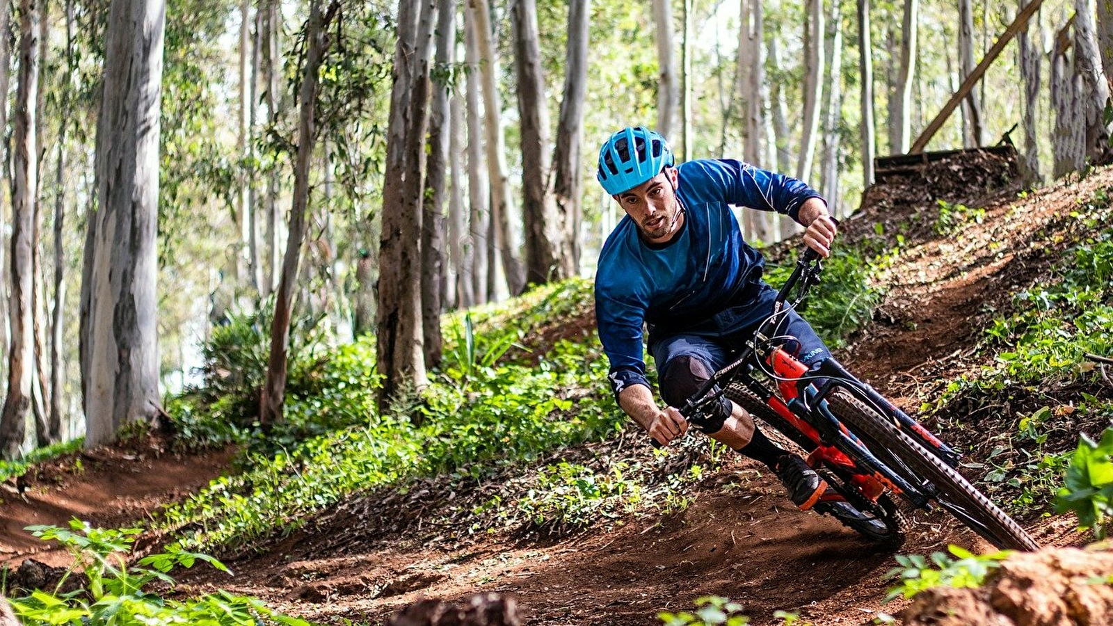 La Forestière - course vtt/cyclo