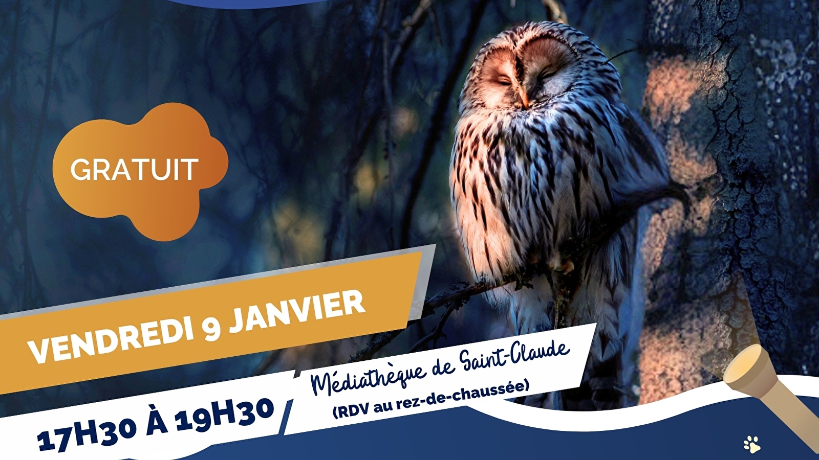 Balade nocturne au coeur de la nature