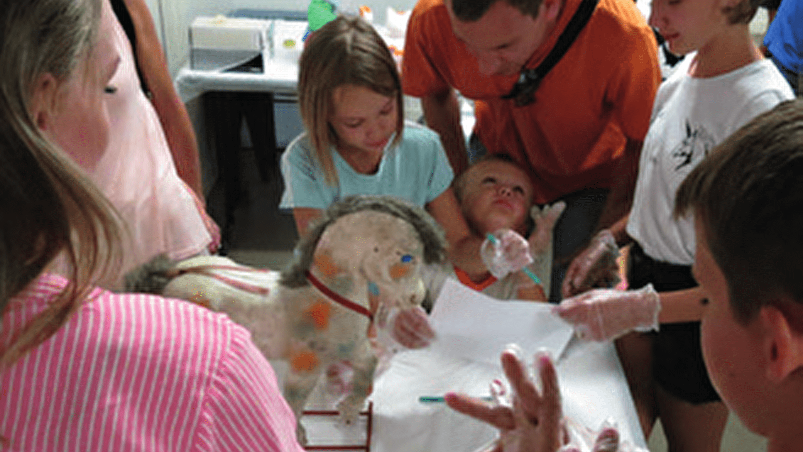 Visite-atelier 'Les petits animaux de Noël'