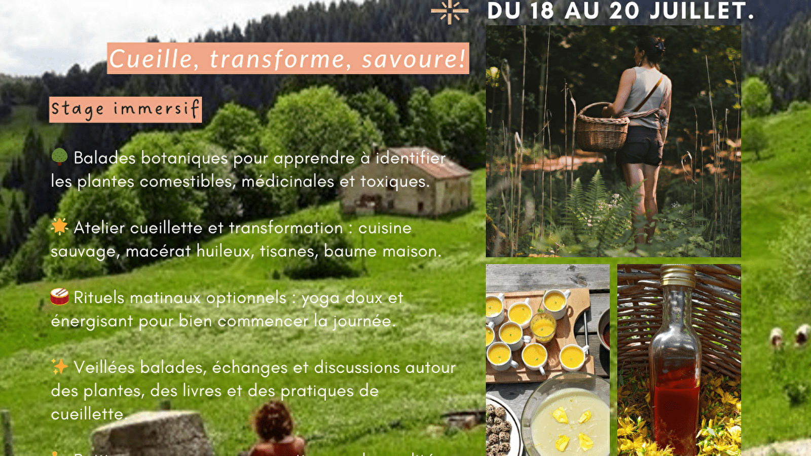Stage plantes sauvages médicinales et comestibles
