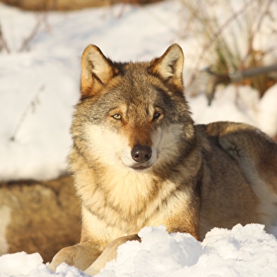 Parc Animalier La Garenne