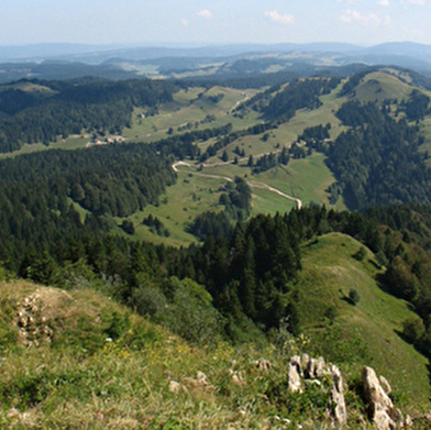 Michel Sports - Location de vélos