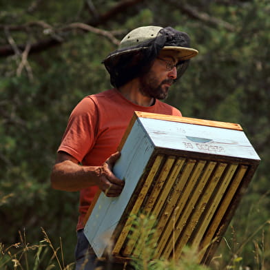 De la Ruche aux Papilles