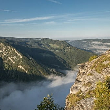 Sentier des Chamois du Jura  - SEPTMONCEL LES MOLUNES